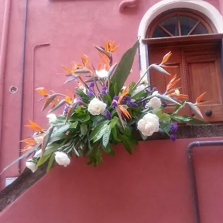 Reggia Nonni Apartman *